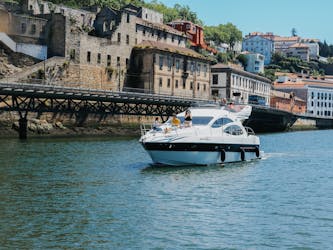 Crociera privata in yacht sul fiume Douro